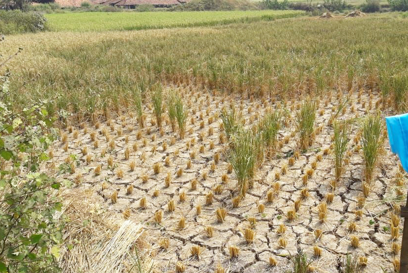 Eksploitasi Air Tanah Salah Satu Faktor Kekeringan di Kabupaten Bekasi