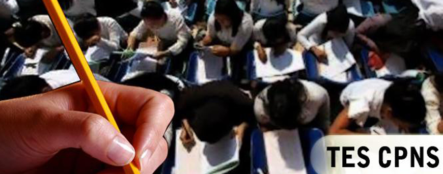 Awal agustus 2017 pendaftaran CPNS online dibuka